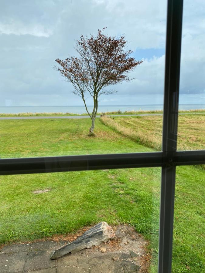 Djursland Lystrup Strand Ferieboliger Allingåbro 外观 照片